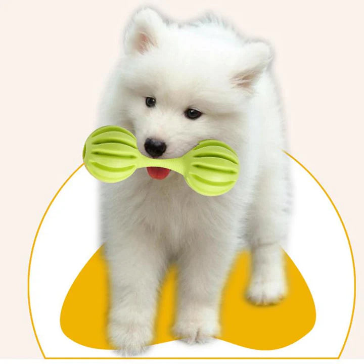 Dog Puppy Dumbbell Teether Toy Bone Puppy Chewing Toy